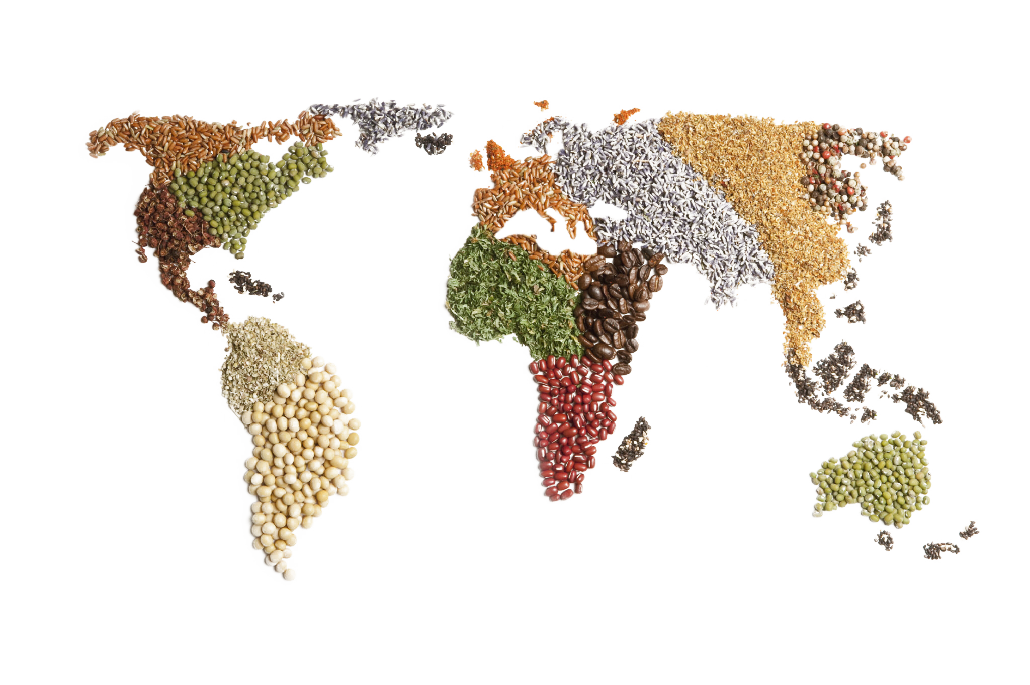 Seed map. Map from Seed. Seed diversity. Dope Map Seeds.